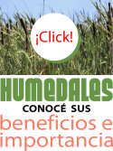 Enlace a información sobre humedales