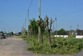 Calle 520. Foto: diario El Día.